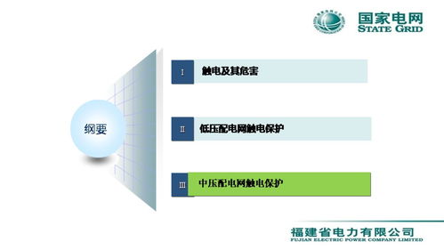 配電網(wǎng)觸電保護技術(shù)與網(wǎng)絡(luò)技術(shù)服務(wù)融合創(chuàng)新——李天友會議報告綜述